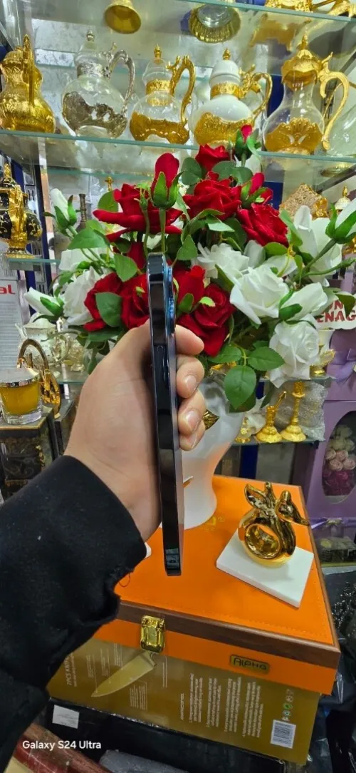 Iphon12 pro max Iphon