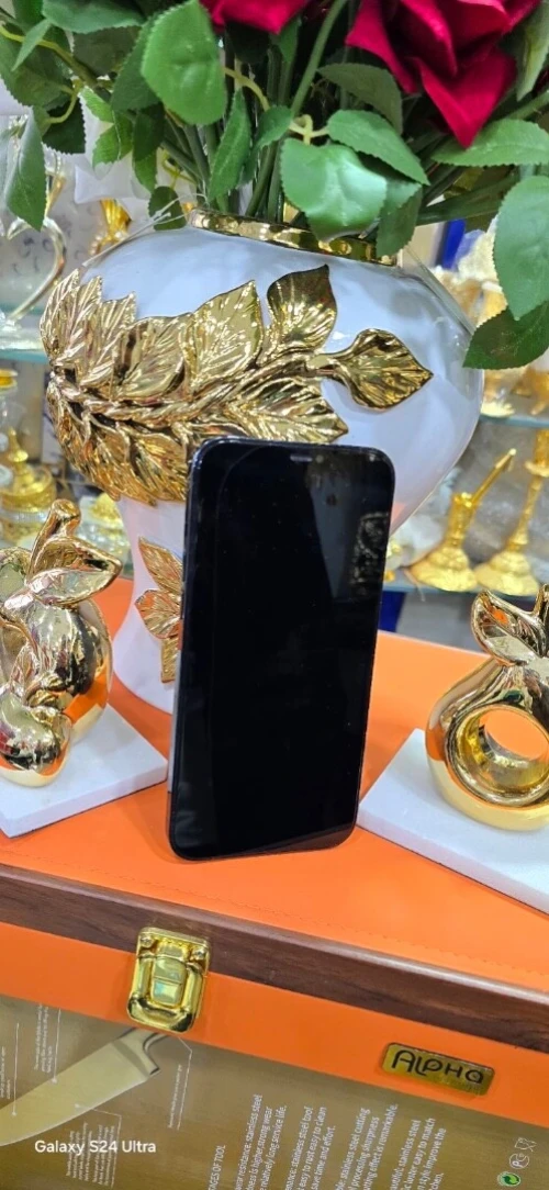 Iphon12 pro max Iphon
