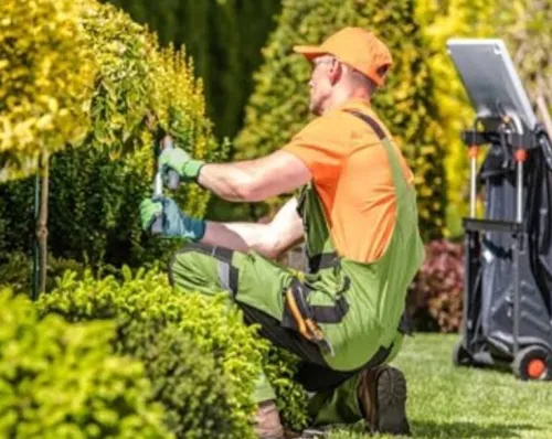 تحميل الأثاث ومواد البناء وتنظيف الحدائق Chargement de meubles matériaux de construction et nettoyage de jardins