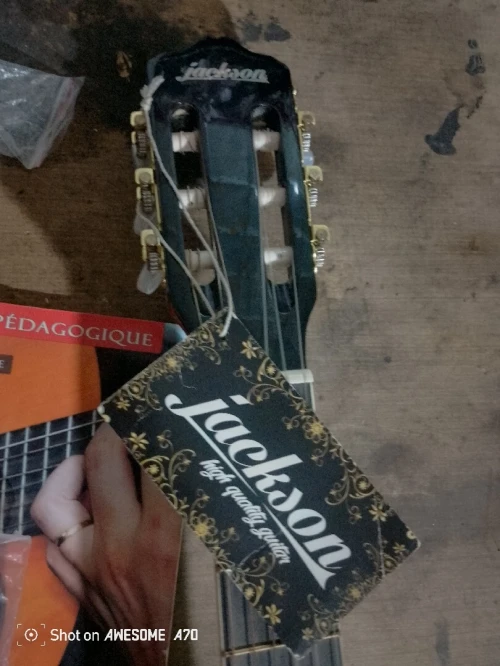 Guitare jakson