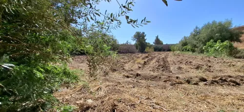 Vente Terrain Tlemcen Hennaya