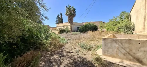 Vente Terrain Tlemcen Hennaya