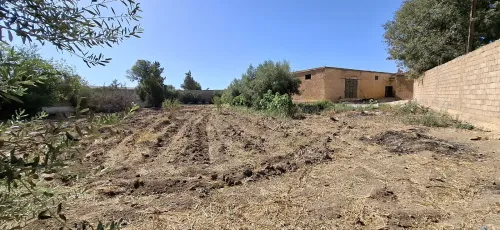 Vente Terrain Tlemcen Hennaya