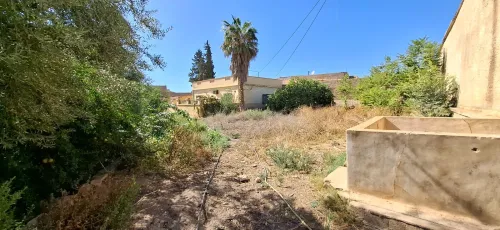 Vente Terrain Tlemcen Hennaya