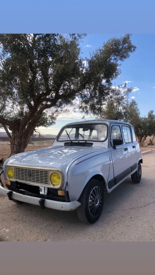 Renault 4 1984 4