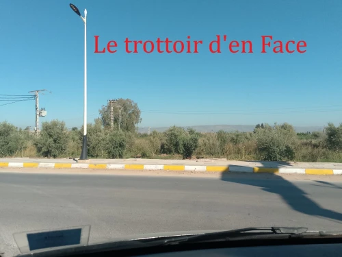Vente Terrain Relizane Oued rhiou