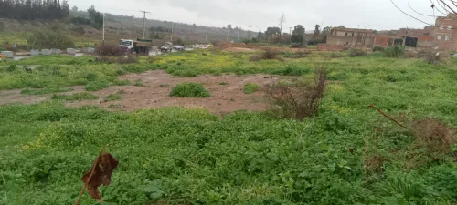 Vente Terrain Relizane Oued rhiou