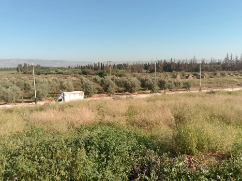 Vente Terrain Relizane Oued rhiou