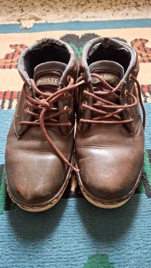 Bootes Lacoste