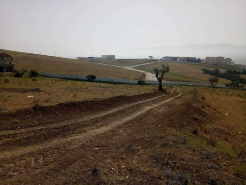 Vente Terrain Blida El affroun