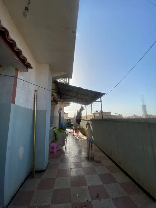 Location bien immobilier Alger Les eucalyptus