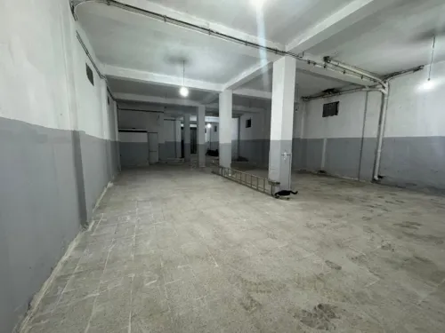 Location Hangar - Usine Alger Les eucalyptus