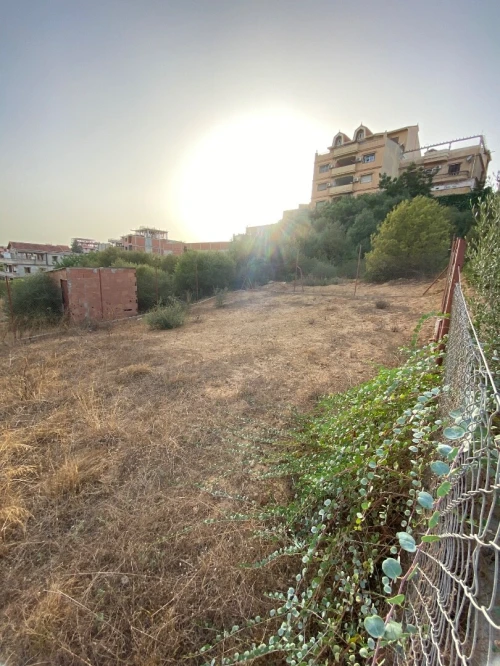 Vente Terrain Alger Saoula