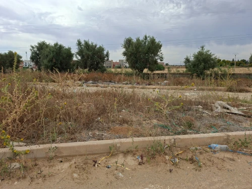 Vente Terrain Relizane Relizane 2