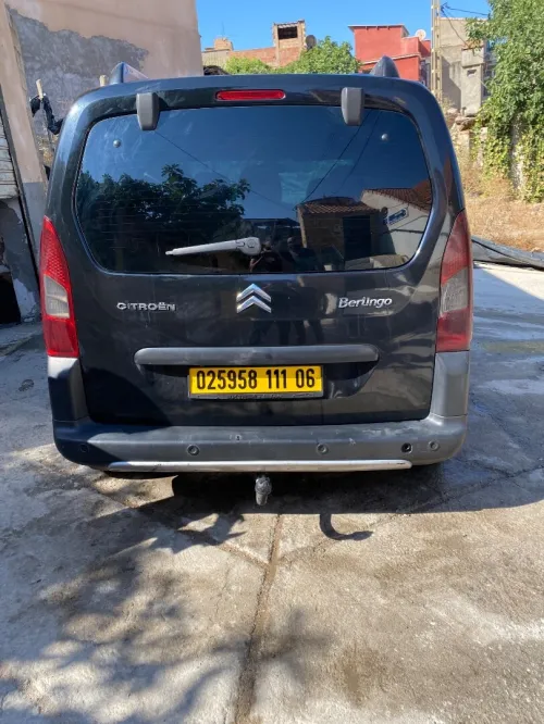 Peugeot Partner 2011 Tepee