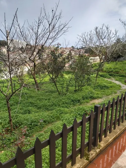 Vente Appartement F4 Alger Bouzareah