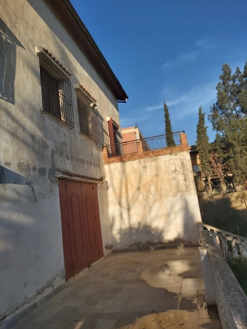 Vente Terrain Tipaza Kolea
