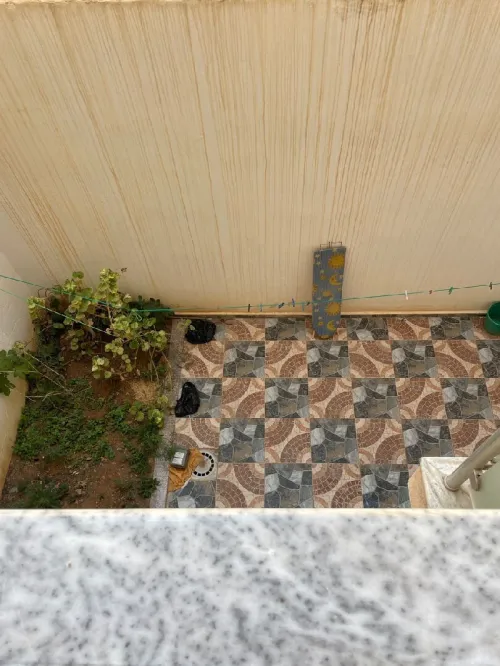 Vente Appartement F3 Tipaza Bou ismail