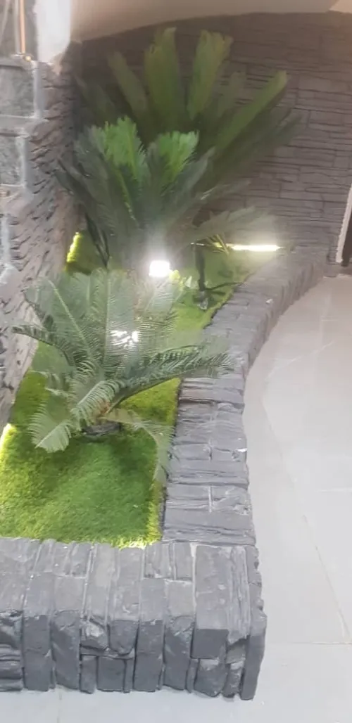 Vente Appartement F4 Alger Cheraga