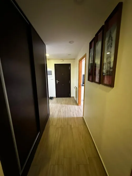 Location Appartement F3 Alger Cheraga