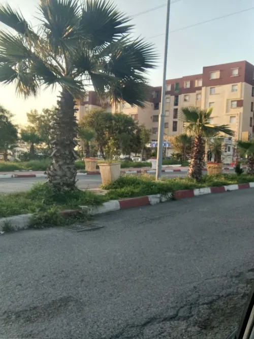 Location Appartement F4 Alger Staoueli