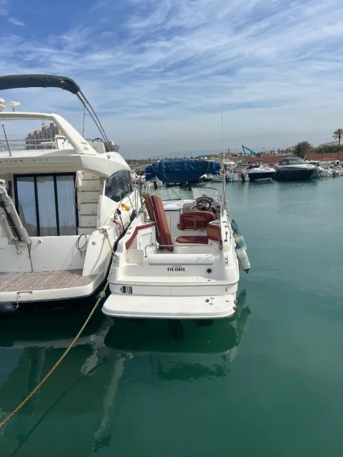 Bateau regal