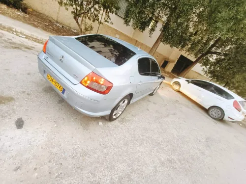 Peugeot 407 2007 407