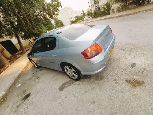 Peugeot 407 2007 407