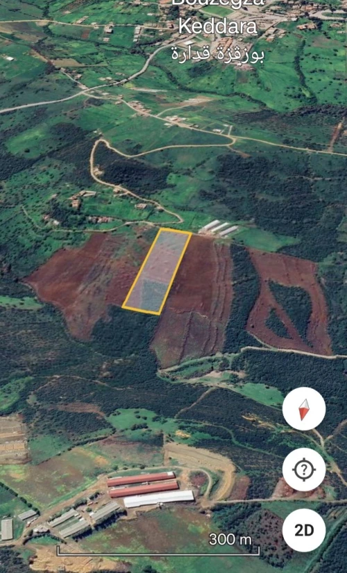 Vente Terrain Boumerdès Keddara