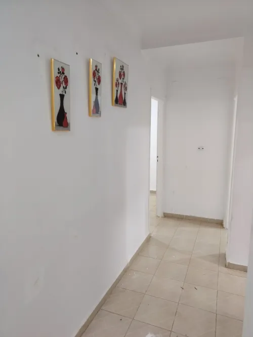 Location Appartement F3 Chlef Chlef