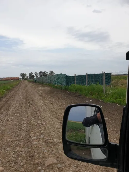 Vente Terrain Agricole El Tarf Ben mehdi