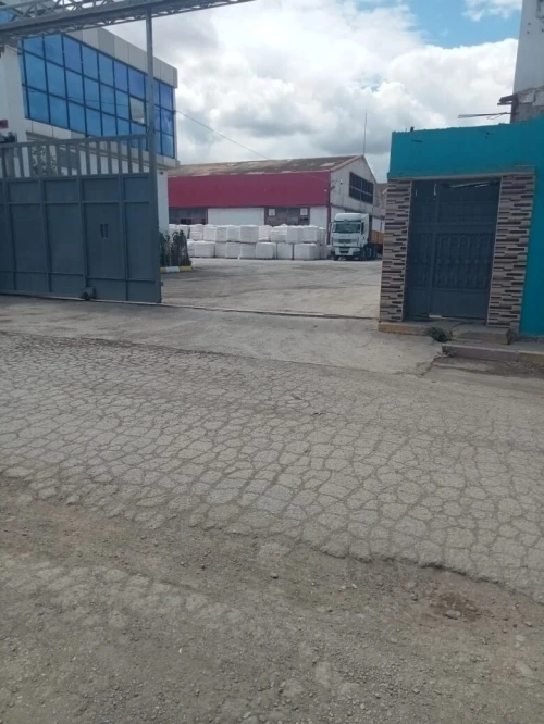 Vente Hangar - Usine Tipaza Hadjout