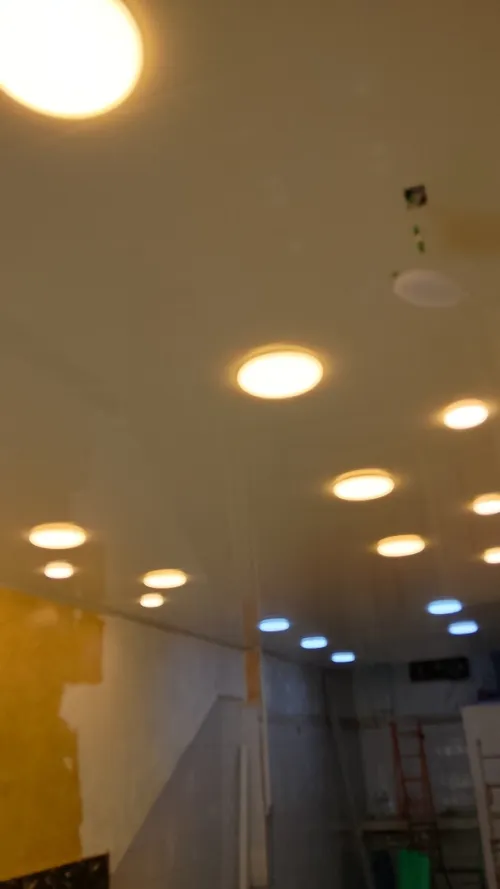 Montage et pose Faux plafond en PVC et placo plâtre et peinture et led profile