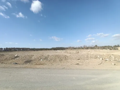 Vente Terrain Biskra Biskra