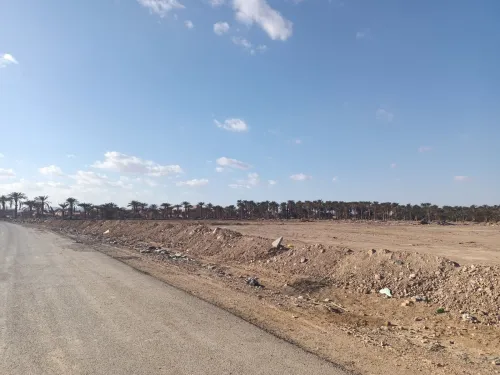 Vente Terrain Biskra Biskra