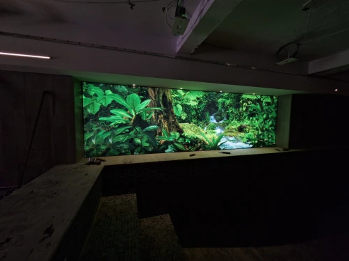 Plafond tendu 