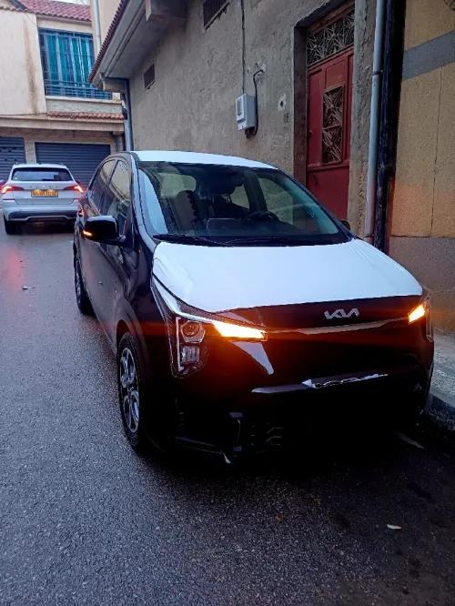 Kia Picanto 2025 Morning