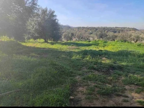 Vente Terrain Boumerdès Beni amrane