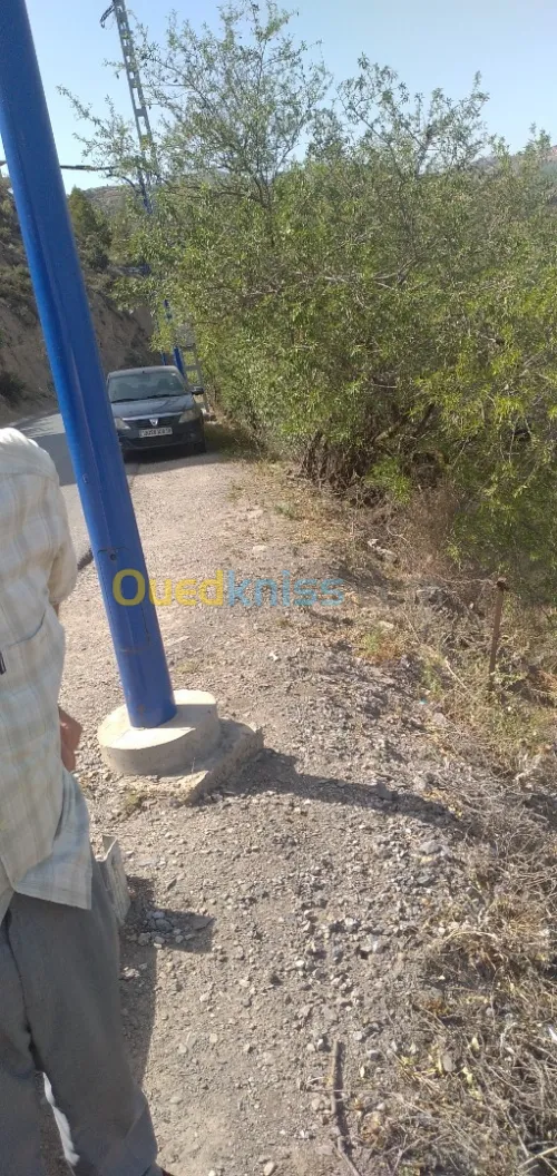 Vente Terrain Sétif Beni chebana