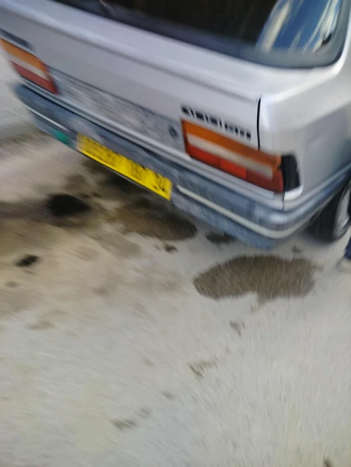Peugeot 309 1987 309