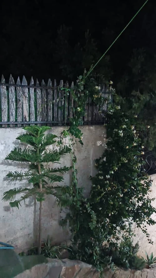 Location vacances Bungalow F3 Tipaza Larhat