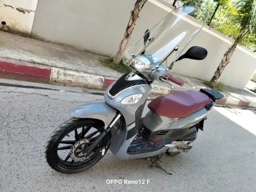 sym S 2024