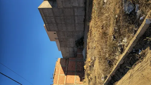 Vente Terrain Mostaganem Hassi maameche