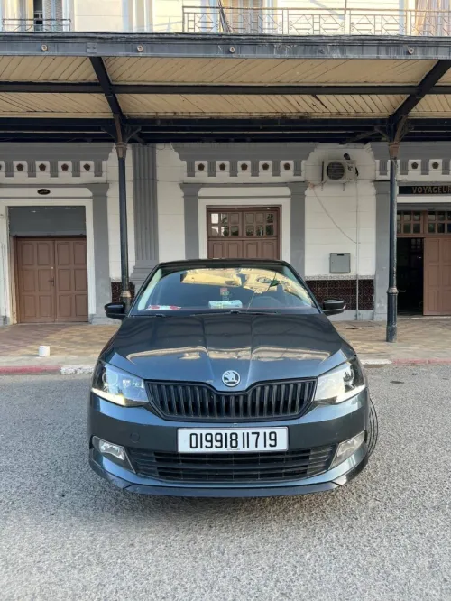 Skoda Fabia 2017 Monte Carlo