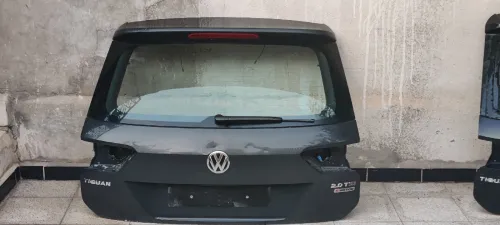 Deux mâles Tiguan 