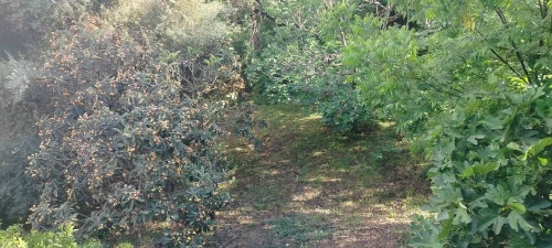 Vente Villa Boumerdès Boudouaou