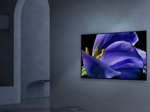 SONY SUWL850  Support mural orientable  pour écran plat TV OLED & LED 55, 65 et 77 pouces