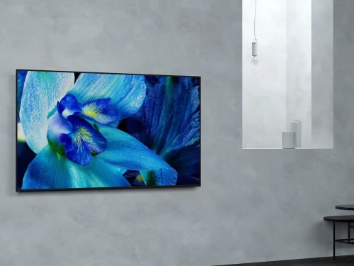 SONY SUWL850  Support mural orientable  pour écran plat TV OLED & LED 55, 65 et 77 pouces
