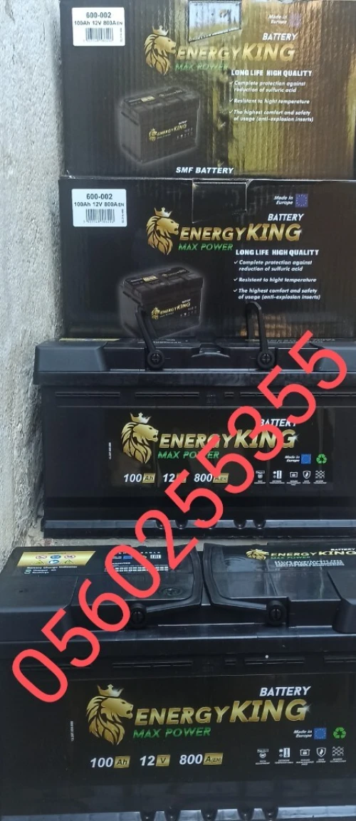 BATTERIE 12V ENERGY KING 100 AH