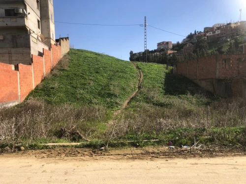 Vente Terrain Alger Mahelma
